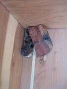 Standard Line Cedar and Walnut Chest