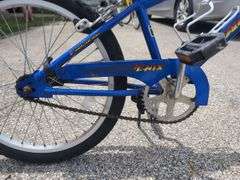 Phoenix Pacific Blue BMX Bike