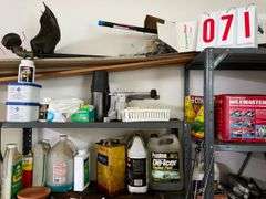 Storage Shelves with Assorted Household and Automotive Items