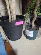 Pair of Artificial Ficus Trees