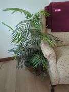 Upholstered Wingback Chair with Plant and Magazine Rack