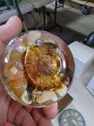 Joe Rice & Perth Paperweights