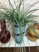 Decorative Box, Vases, and Artificial Plant