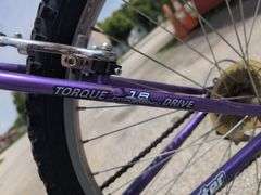 Roadmaster MT Sport SX Purple 18-Speed Mountain Bike