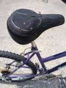 Roadmaster MT Sport SX Purple 18-Speed Mountain Bike