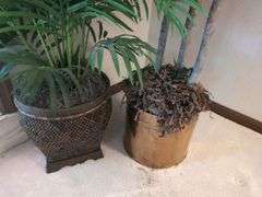 Potted Plants and Wooden Rocking Horse