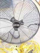 Commercial Electric Fan and String of Work Lights
